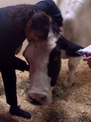 Bandit_WagnerFarmRescue100_0003_sm.jpg