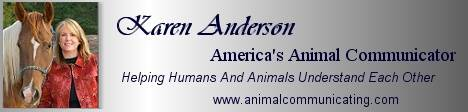 KarenAndersonBanner.bmp